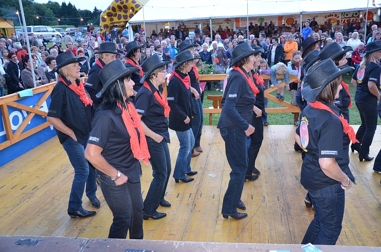 Scheibenhof 2013 (8).JPG